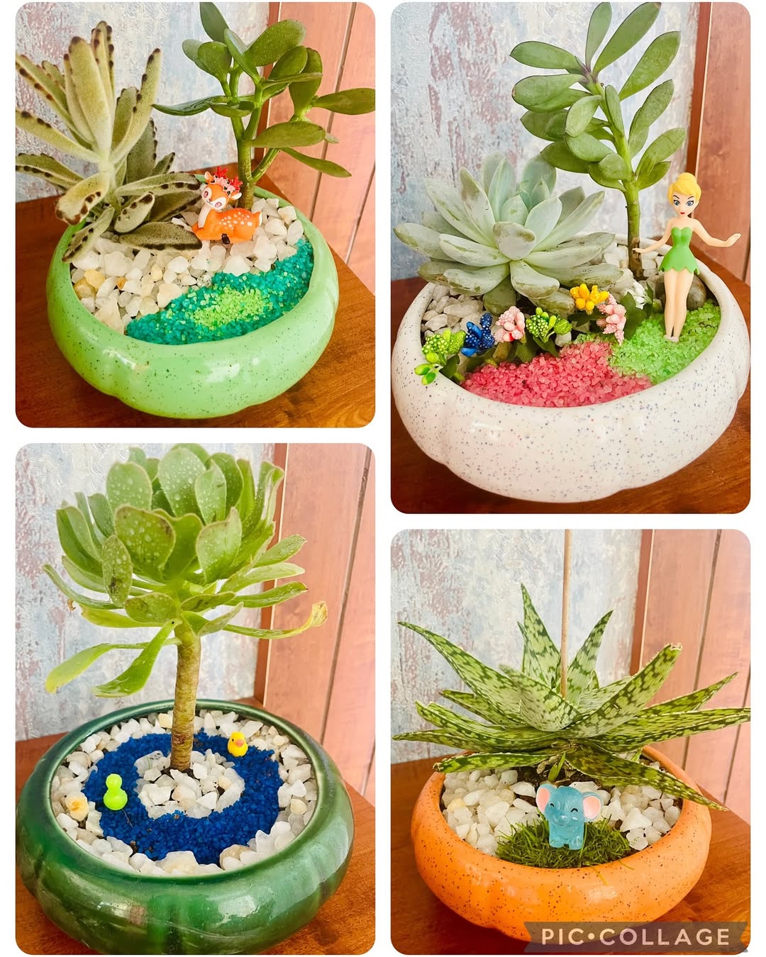 Miniature Gardens